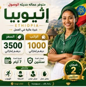 مكتب المثالي للاستقدام - عاملات منزليات مدربات بخدمات منظمة في جميع إمارات الدولة